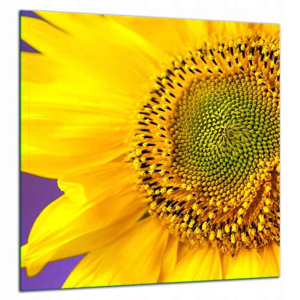 Skleněná Ochranná Deska Panel Lepidlo 60x65 Květina