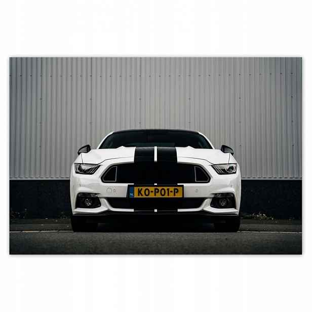 Plakáty 185x125 Ford Mustang s pruhy