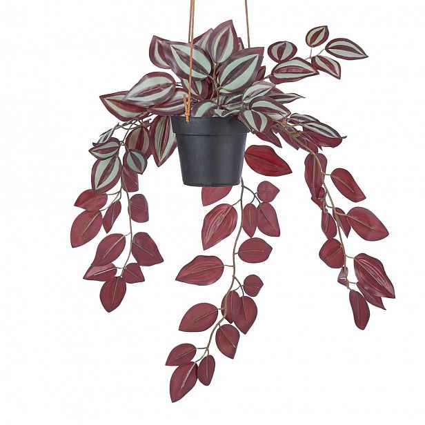 Butlers FLORISTA Tradescantia zebrina v květináči 50 cm