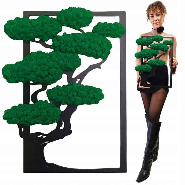 Obraz Mech Chrobotek Stromek Bonsai Obraz Z Mechu Stromek Jako Dárek 31x50 cm