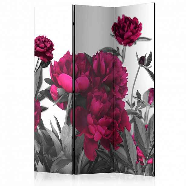 artgeist PARAVÁN, 135/172/3 cm