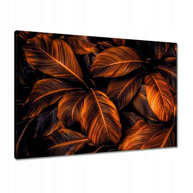 Obrazy 100x70 Oranžové listy