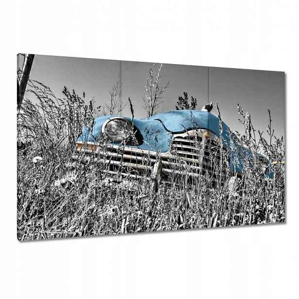 Obrazy 120x80 Světle Modrá Stařec Zabytek