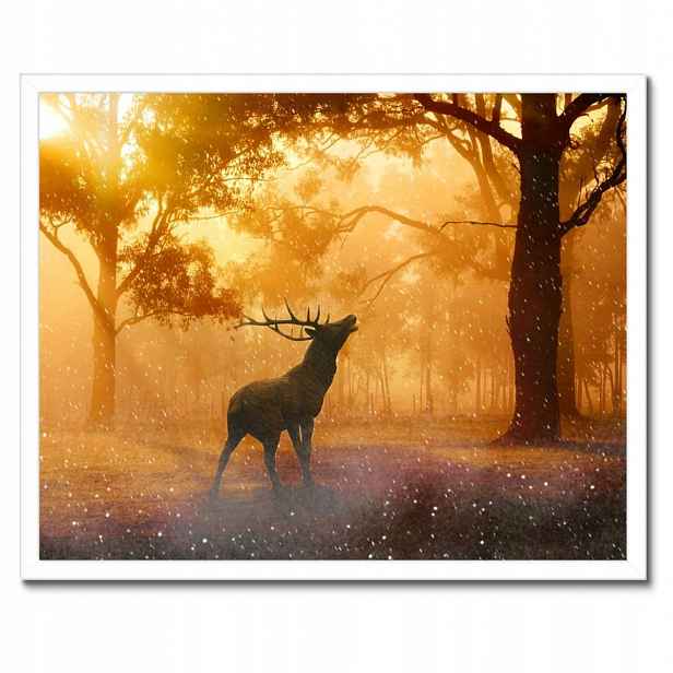 Plakáty v rámu 50x40 Jelen v lese