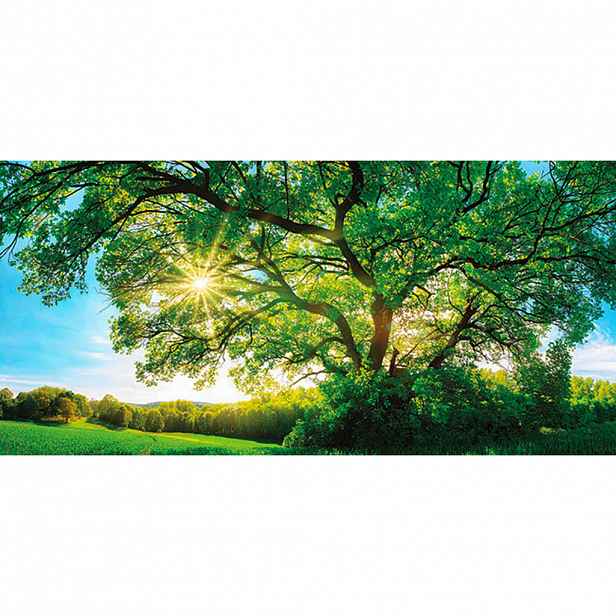 Euroart OBRAZ NA PLÁTNĚ, krajina & příroda, - Obrazy na plátně - 0057210574