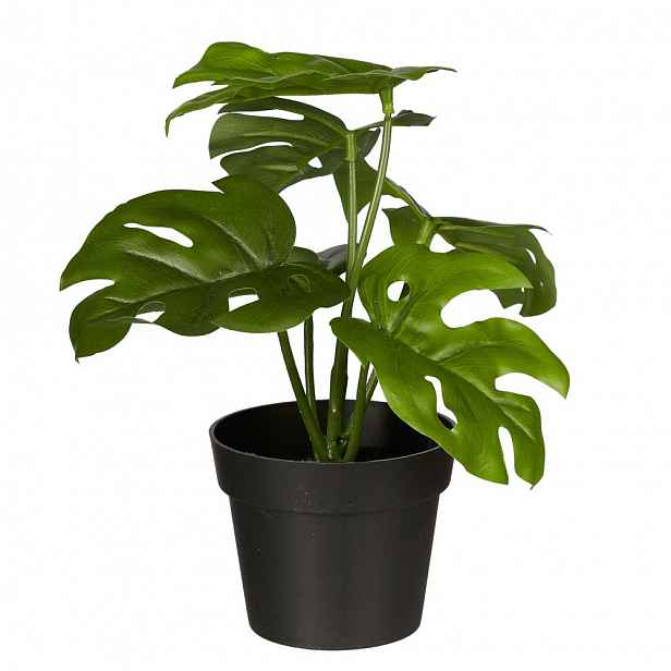 Butlers FLORISTA Monstera v květináči 20 cm