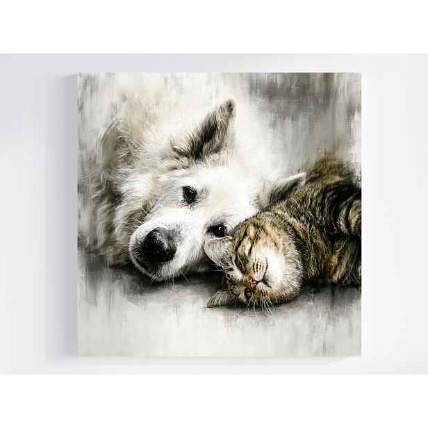 Obraz Na Plátně Canvas Portrét Zvířata Pes Kočka Přátelství Kamarádi 50x50