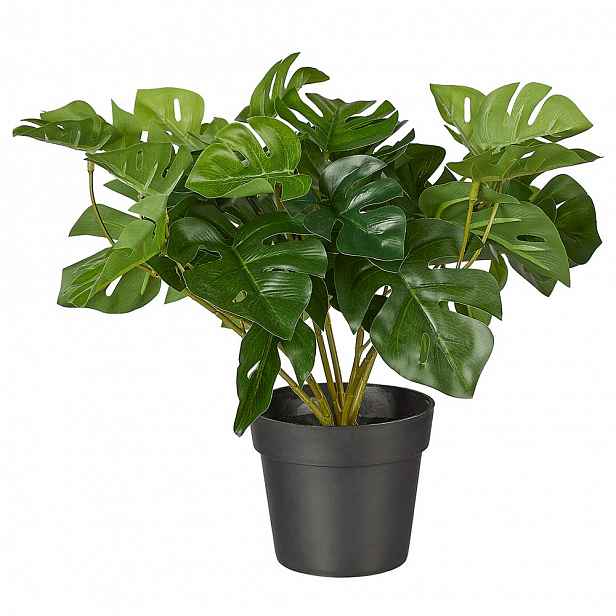 Butlers FLORISTA Monstera v květináči 25 cm