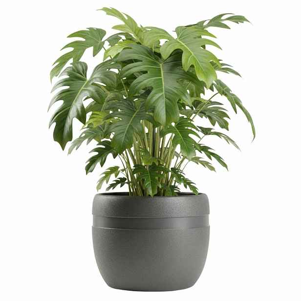 HowHomely Květináč LUNA Classic 40 cm antracitový