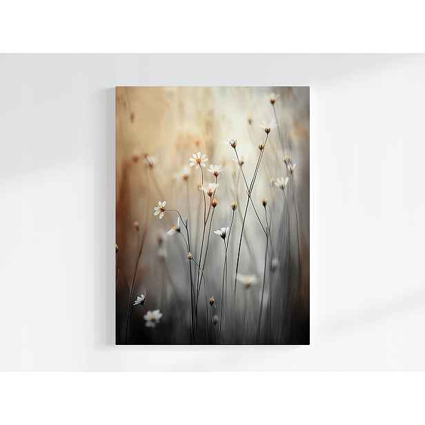 Plakát Ráno Louka Květy Sedmikrásky Heřmánek Bokeh 75x100