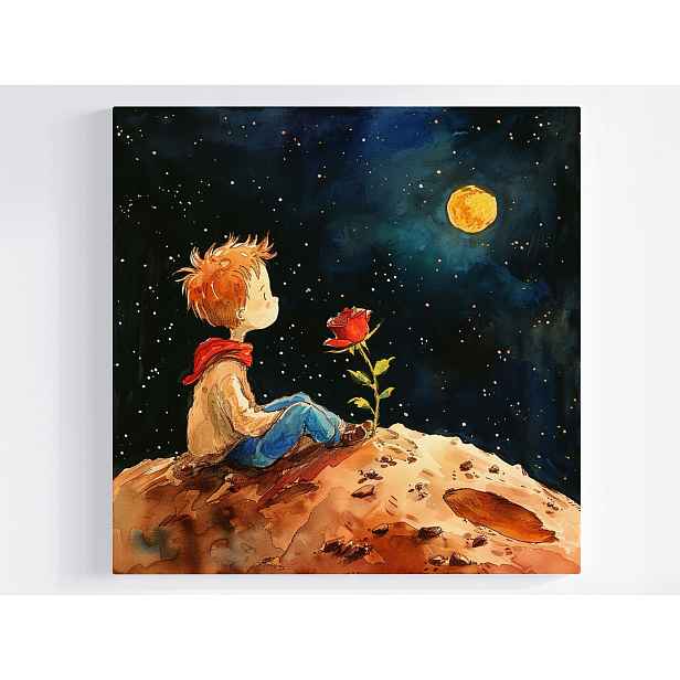 Obraz Na Plátně Canvas Děti Malý Princ Růže Vesmír Planeta Pohádka 50x50