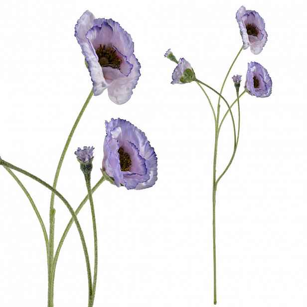 Mondex UMĚLÁ KVĚTINA, plast, violet