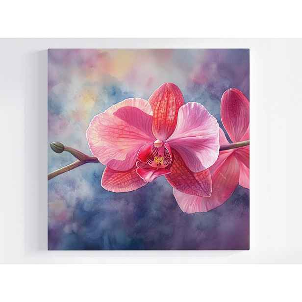 Obraz Na Plátně Canvas Grafika Orchidej Květ Růžový Orchidej 50x50