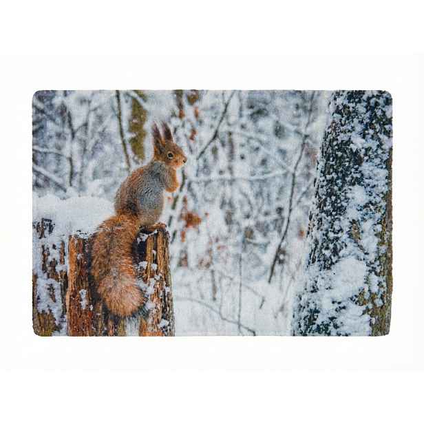 Vánoční rohožka WILD IN WHITE 38x58 cm - více variant Varianta: Veverka