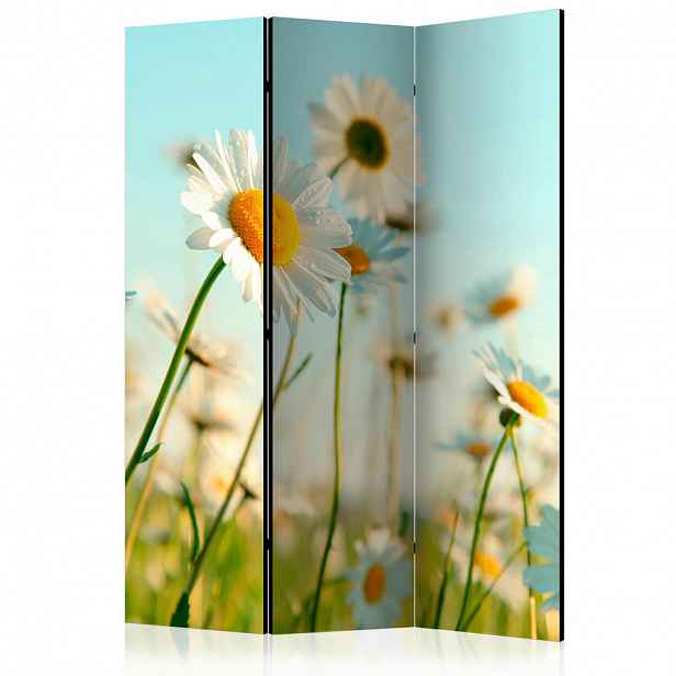artgeist PARAVÁN, 135/172/3 cm