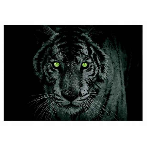 Fototapeta Tygr Jaguar Lev Zelené Oči 416x254