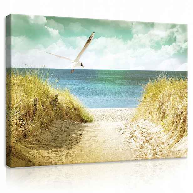 Obraz Na Plátně Canvas 80x60 Pláž Moře Mewa