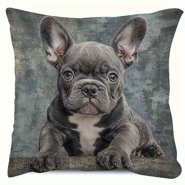 TEMU 1ks Vintage French Bulldog Puppy Pillow Cover - Měkký Krátký Plyšový Polyester, Lze Prát V Pračce, Zavírání Zipem, Dvojitě Potištěný Dekorativní