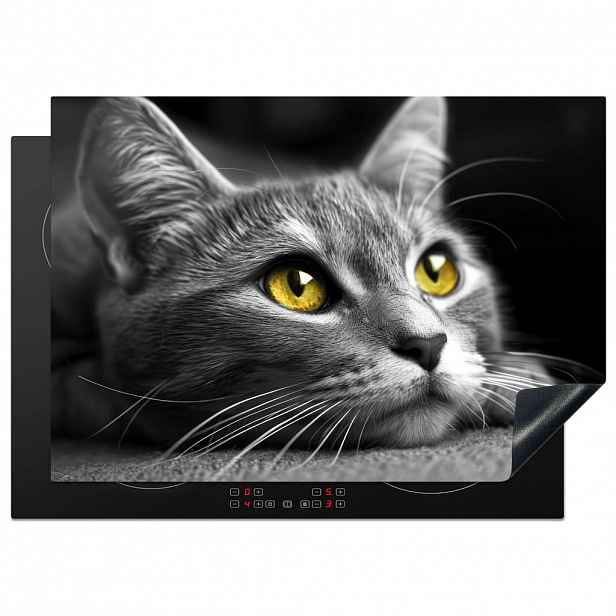 MuchoWow KRYT NA INDUKČNÍ DESKU Kočka - Grey - Zvířata - Cat 75x52 cm