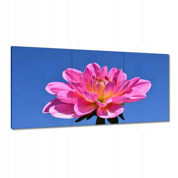 Obrazy 120x60 Jiřina
