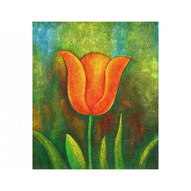 Obraz - Červený tulipán 2 - 90 cm x 60 cm