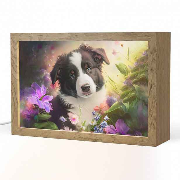 OnlyWow NOČNÍ LAMPIČKA Štěně - Slunce - Květiny - Příroda - Border kolie - Pes 30x20 cm