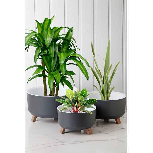 Vase Set TRPTSKS-1-3