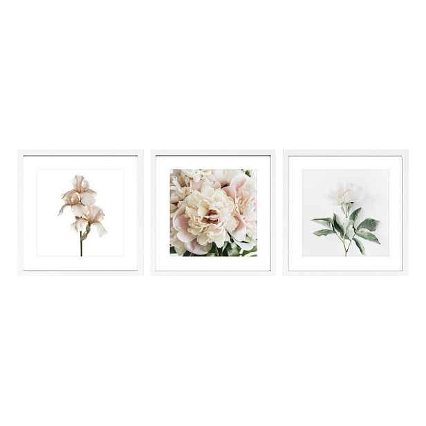 Tištěné obrazy v sadě 3 ks s rámem 30x30 cm Posy – Styler