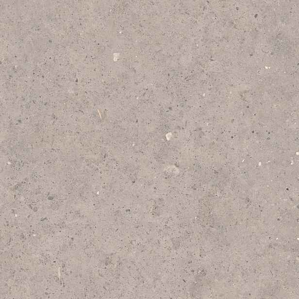 Dlažba Pastorelli Biophilic grey 80x80 cm mat P009419