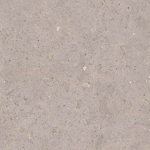 Dlažba Pastorelli Biophilic grey 80x80 cm mat P009419