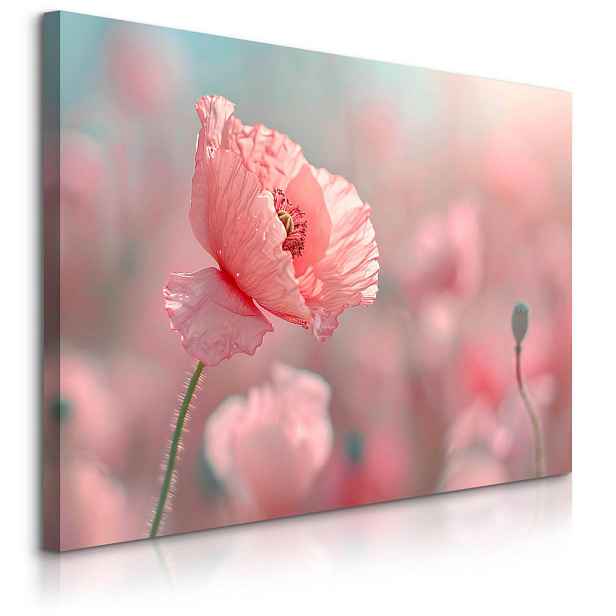 Muralo OBRAZ NA PLÁTNĚ do Obývacího Pokoje Maky Rostliny Příroda 100cm x 70cm