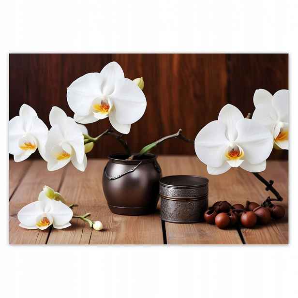 Fototapety 152x104 Bílé orchideje