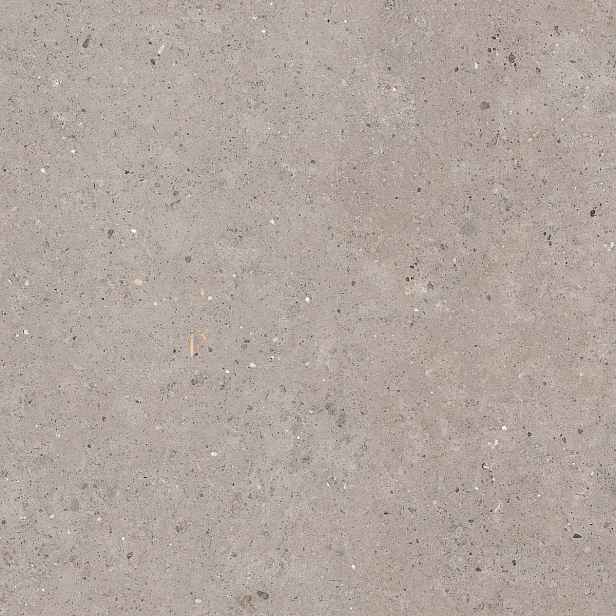 Dlažba Pastorelli Biophilic grey 120x120 cm mat P009411