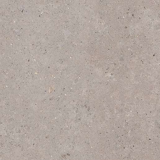 Dlažba Pastorelli Biophilic grey 120x120 cm mat P009411