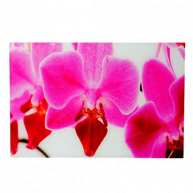 MCW SKLENĚNÝ OBRAZ ORCHIDEJ Multicolor