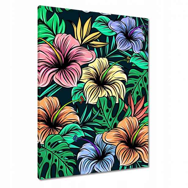 Obrazy 60x80 Monstera Zelený list