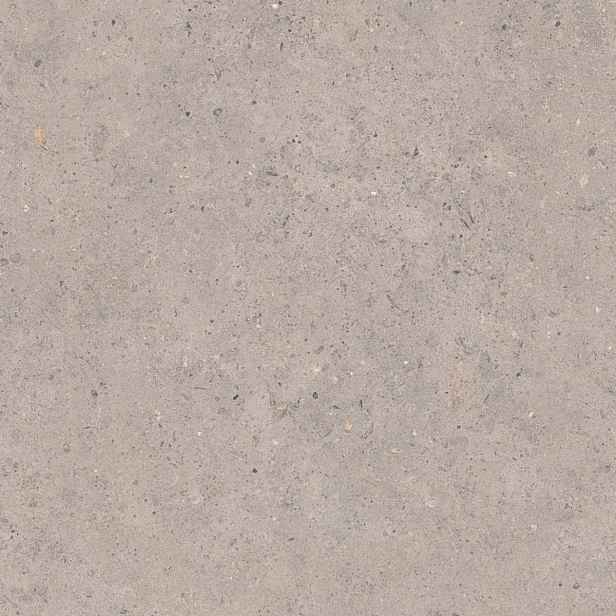 Dlažba Pastorelli Biophilic grey 60x60 cm mat P009496