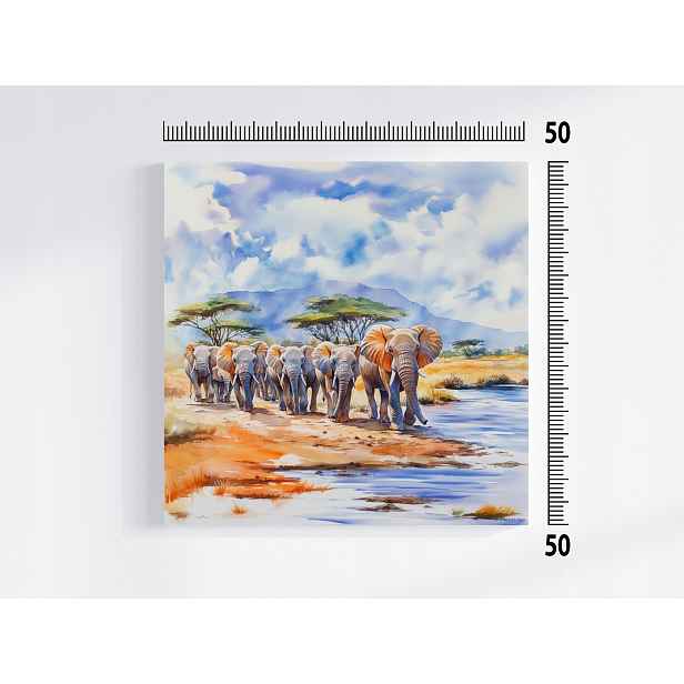 Obraz Na Plátně Canvas Fauna Afrika Indie Slon Sloni Stádo Rodina 50x50