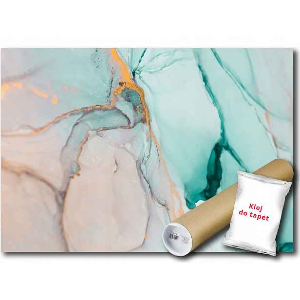 Fototapeta Abstrakcja 11A F2XL 312x219 F13554