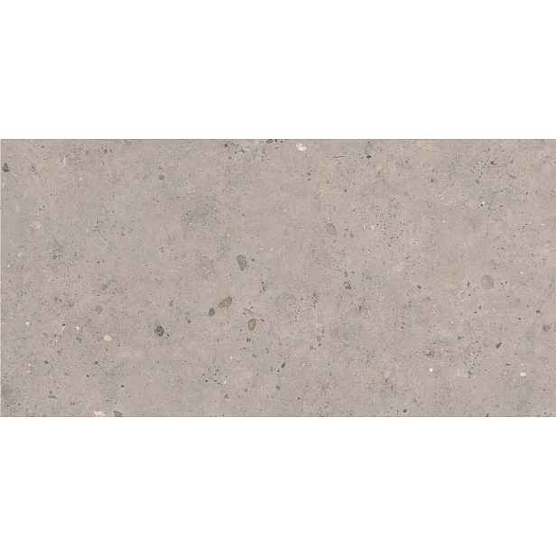 Dlažba Pastorelli Biophilic grey 60x120 cm mat P009415