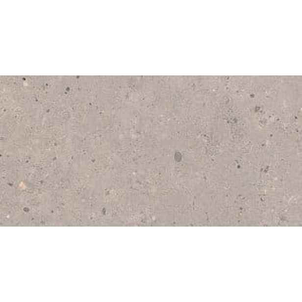 Dlažba Pastorelli Biophilic grey 30x60 cm mat P009500