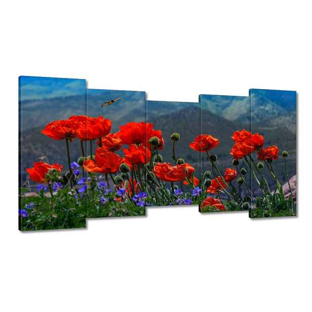 Obrazy 150x80 Červené máky Květiny