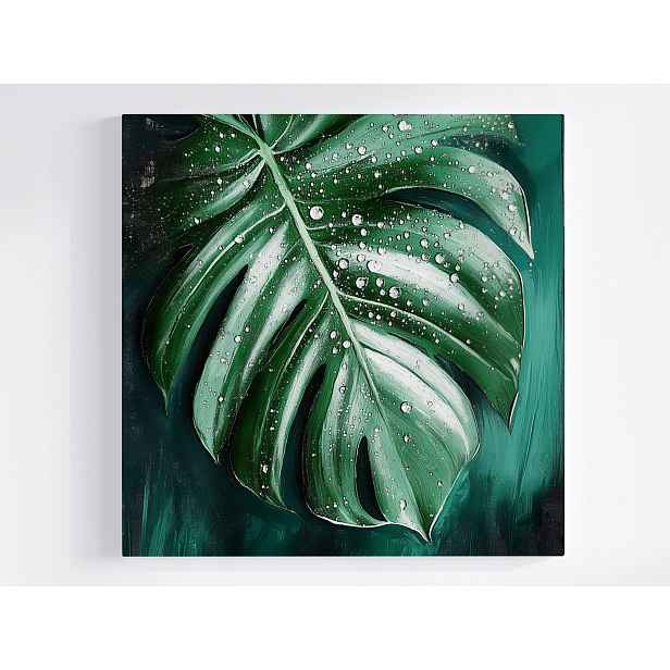 Obraz Na Plátně Canvas Příroda List Monstera Filodendron Voda Rosa 50x50