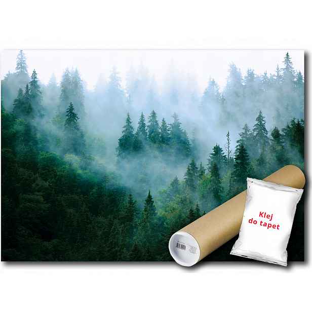 Vinylová fototapeta Les stromy mlha 152x104