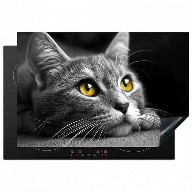 MuchoWow KRYT NA INDUKČNÍ DESKU Kočka - Grey - Zvířata - Cat 77x51 cm