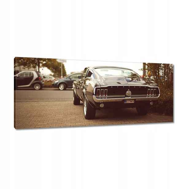 Obrázky 100x40 Ford Mustang Černobílé