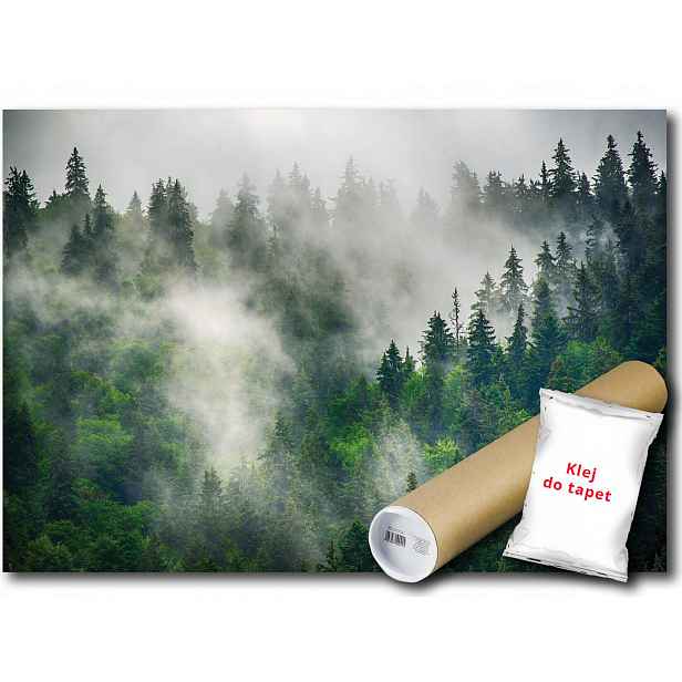 Vinylová fototapeta Les mlha hory krajina 152x104