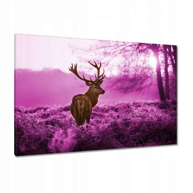 Obrazy 120x80 Jelen ve fialovém lese