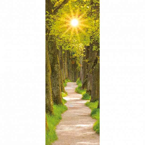 Euroart OBRAZ NA PLÁTNĚ, krajina a příroda, 30/80/3 cm - Obrazy na plátně - 005721057201