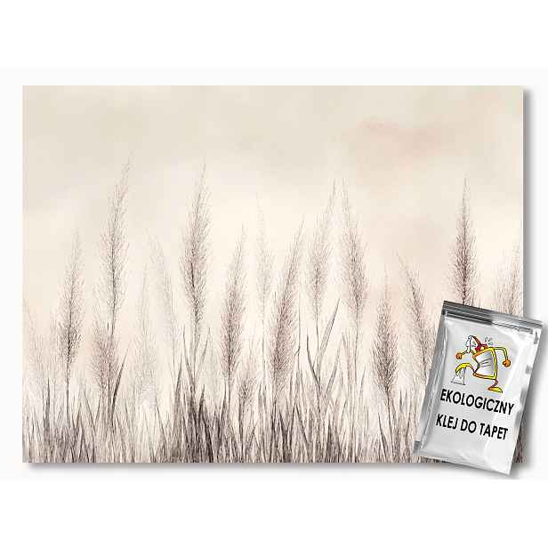 Fototapeta Flizelina Příroda Tráva Trávy Béžová Hnědá 368x254 130g